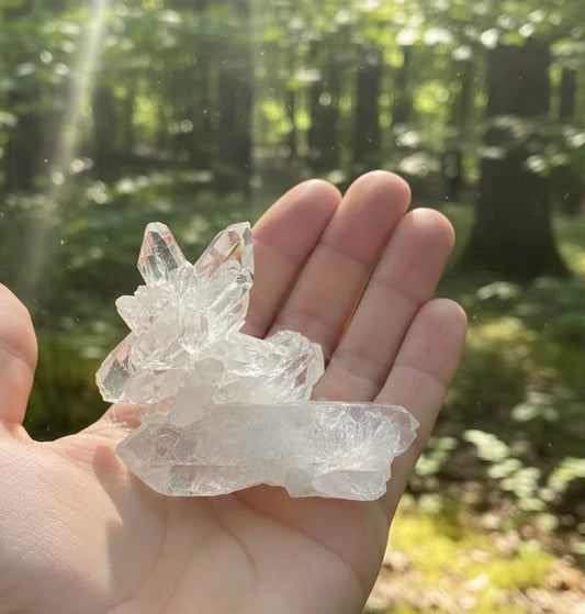 Lemurian Seed Crystal Cluster DT Points/Rainbow 54g #LQ-038