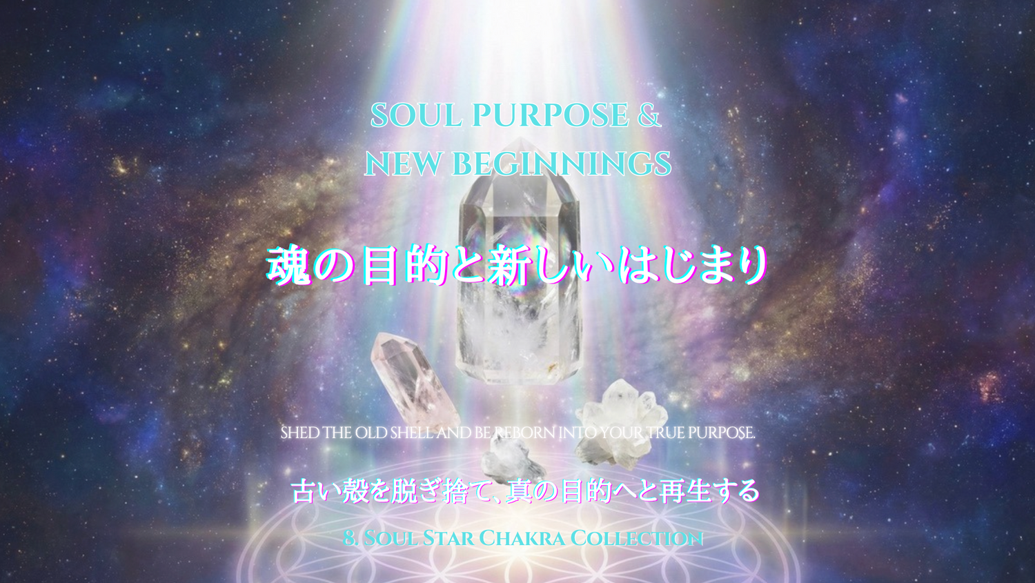 8. Soul Purpose & New Beginnings｜魂の目的と新しいはじまり