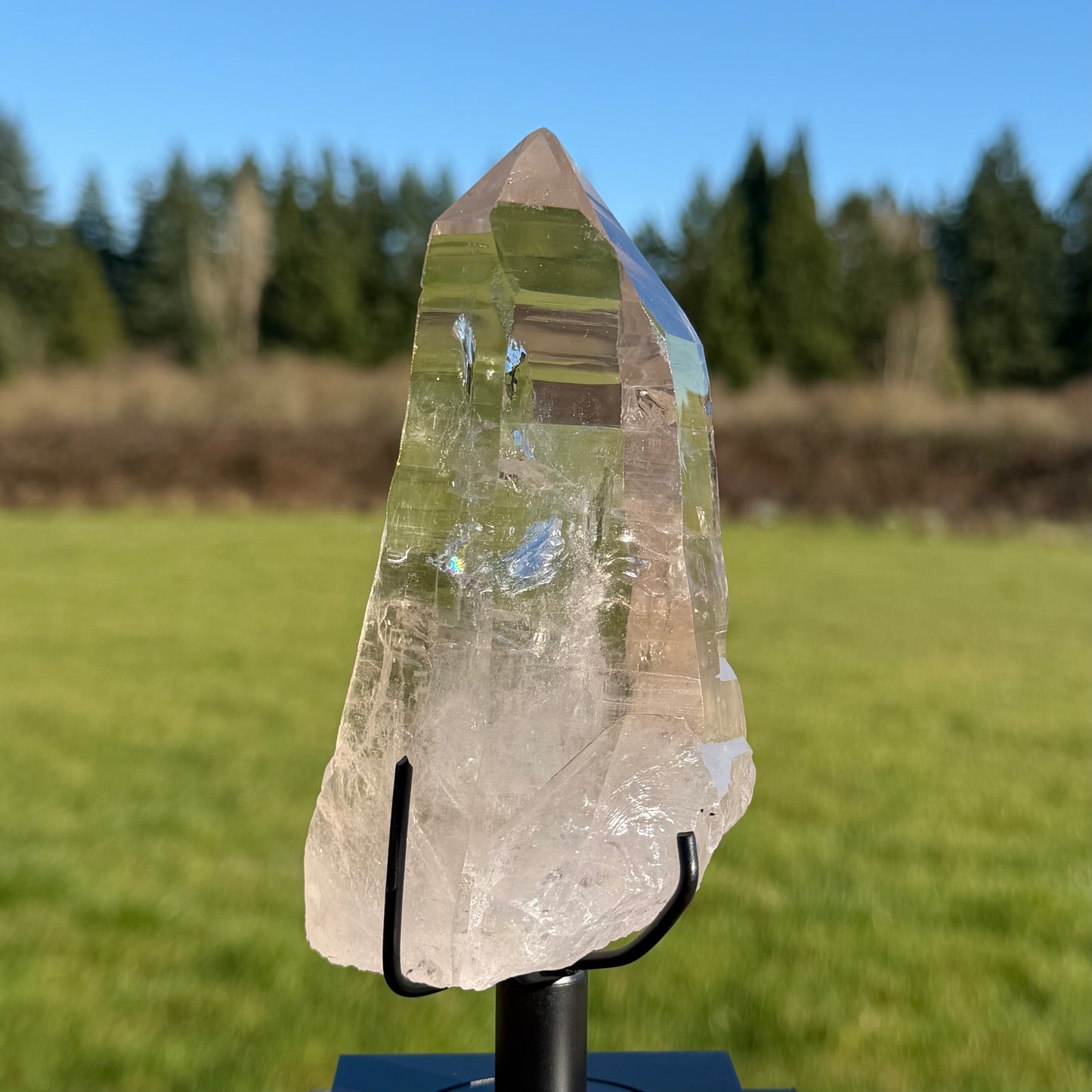 Ultra-Clear Lemurian Seed Quartz Point - Includes Custom Gallery Stand レムリアンシード・クォーツ クリスタルポイント(虹入)  - カスタムスタンド付#LQ-058