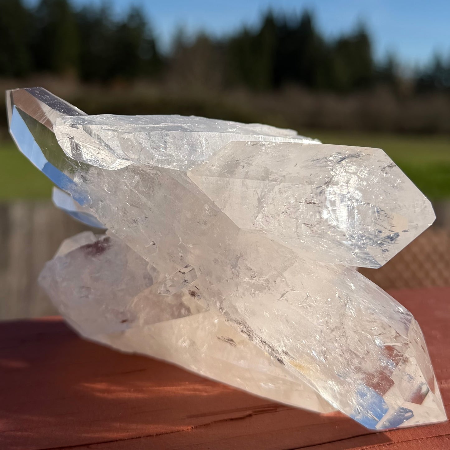 THE ENERGY VORTEX | Multi-Point Double Terminated Lemurian Cluster　ダブルターミネーテッド・レムリアン・クラスター14.5cm #LQ-012