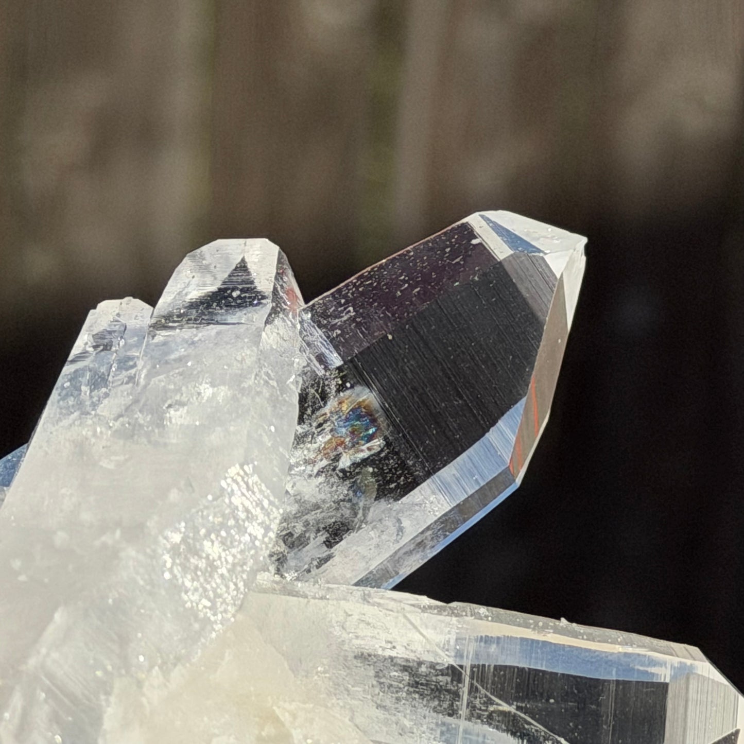 THE ENERGY VORTEX | Multi-Point Double Terminated Lemurian Cluster　ダブルターミネーテッド・レムリアン・クラスター14.5cm #LQ-012