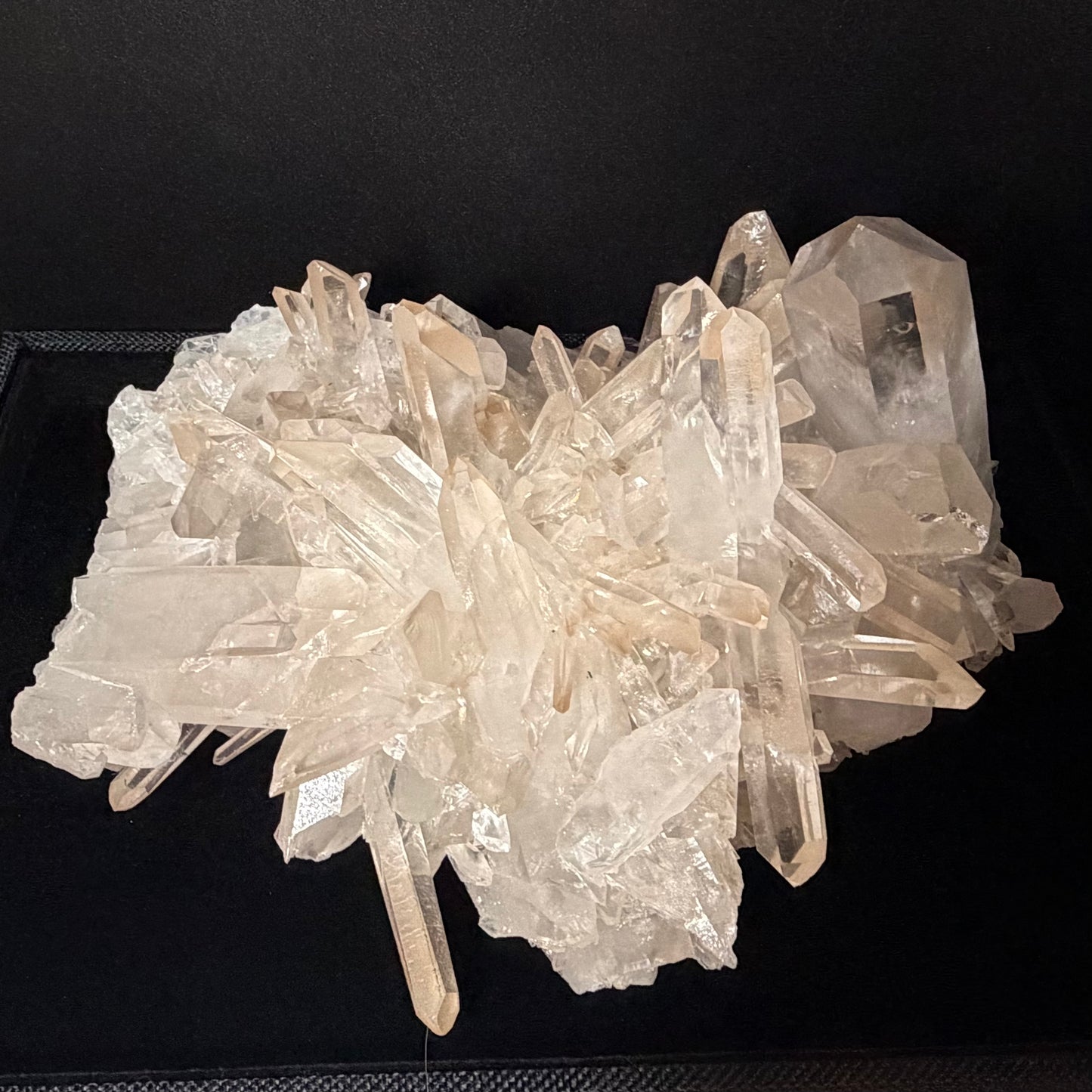MUSEUM GRADE | The "Sunrise" Lemurian Seed Cluster (5kg) 【博物館級】サンライズ・レムリアンシード・クラスター ＃LQ-014