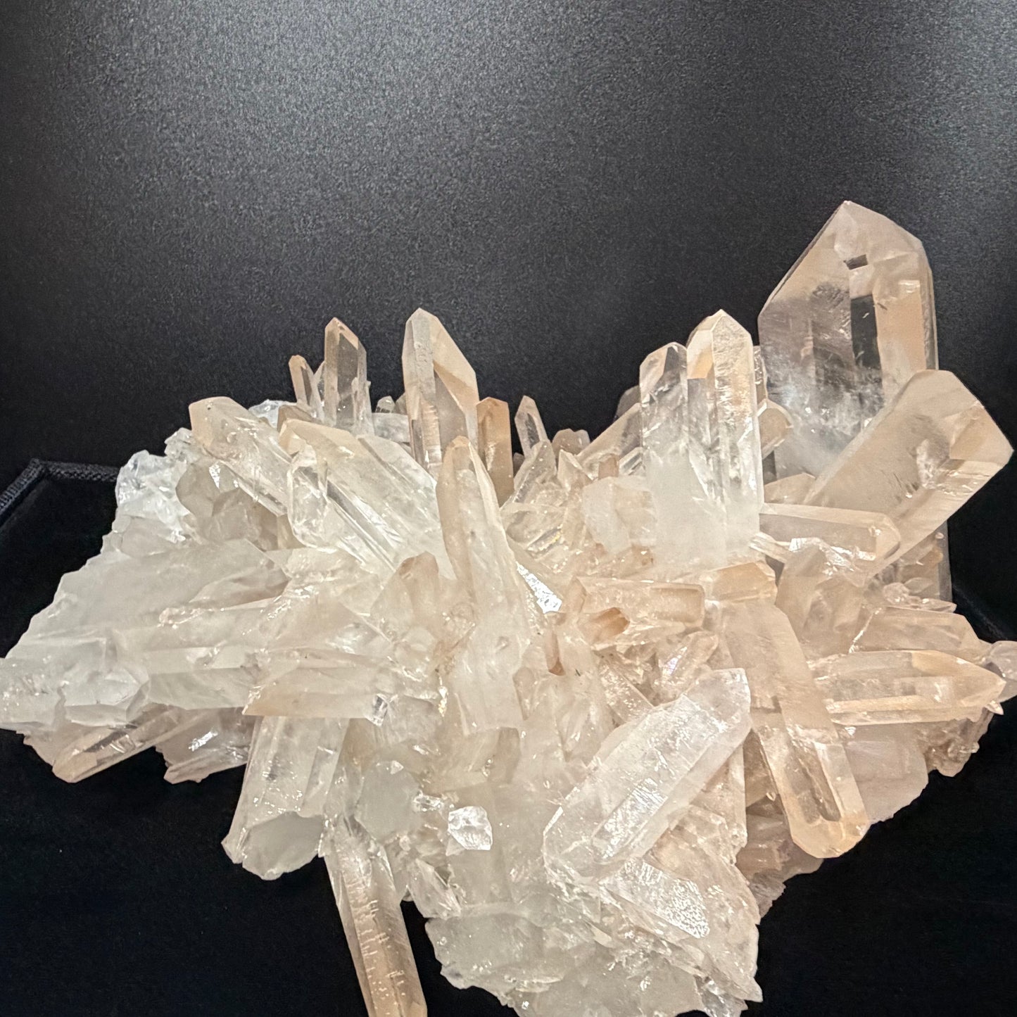 MUSEUM GRADE | The "Sunrise" Lemurian Seed Cluster (5kg) 【博物館級】サンライズ・レムリアンシード・クラスター ＃LQ-014