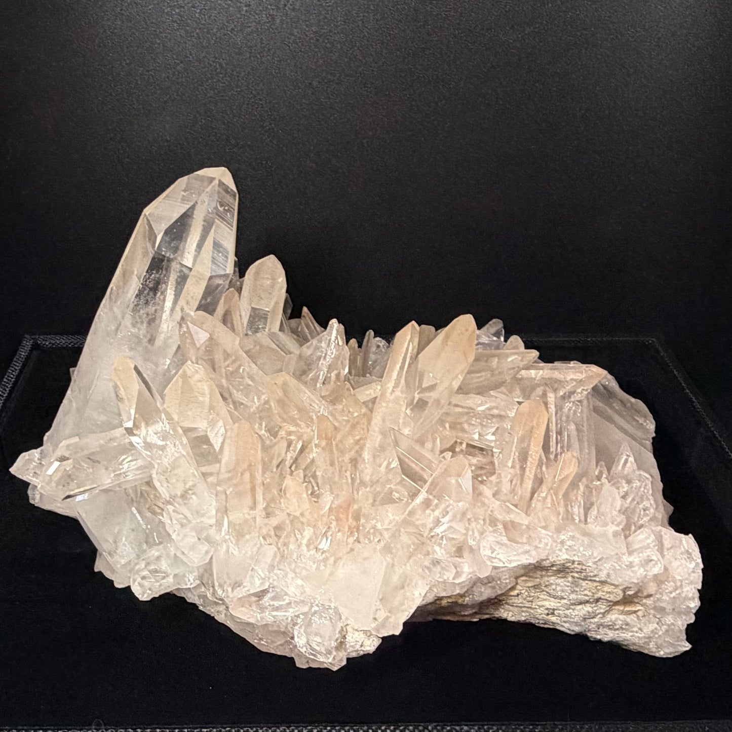 MUSEUM GRADE | The "Sunrise" Lemurian Seed Cluster (5kg) 【博物館級】サンライズ・レムリアンシード・クラスター ＃LQ-014