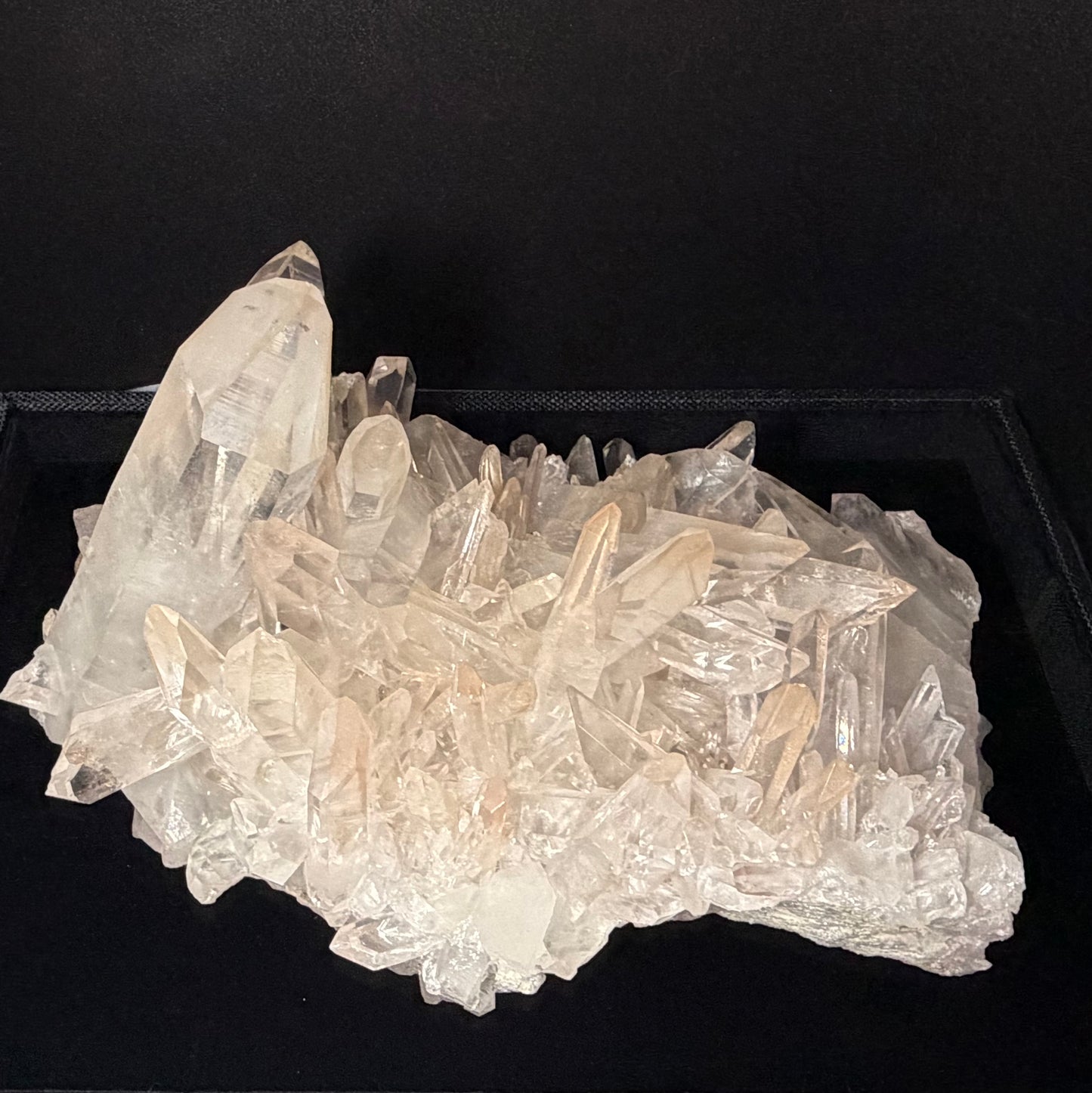 MUSEUM GRADE | The "Sunrise" Lemurian Seed Cluster (5kg) 【博物館級】サンライズ・レムリアンシード・クラスター ＃LQ-014