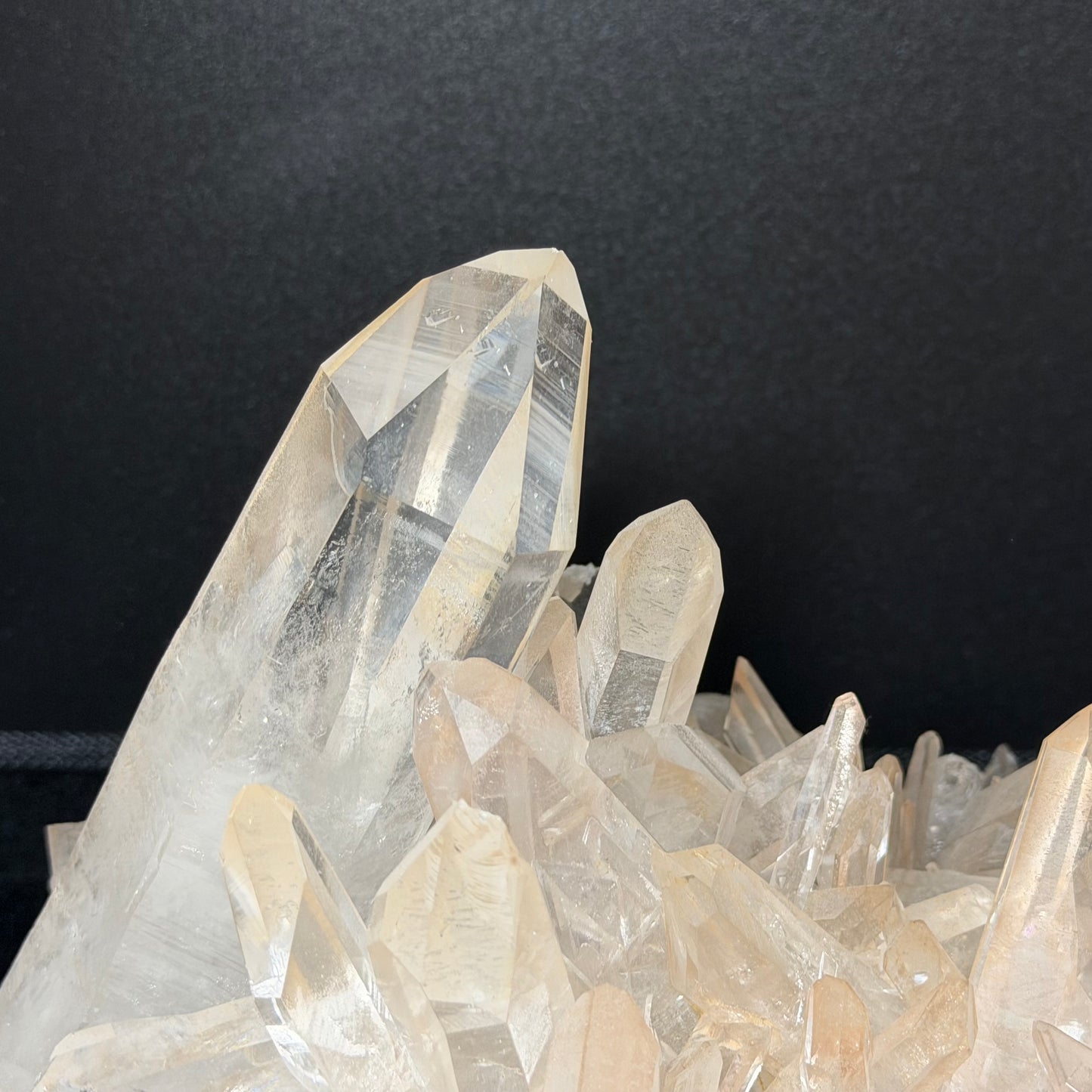 MUSEUM GRADE | The "Sunrise" Lemurian Seed Cluster (5kg) 【博物館級】サンライズ・レムリアンシード・クラスター ＃LQ-014