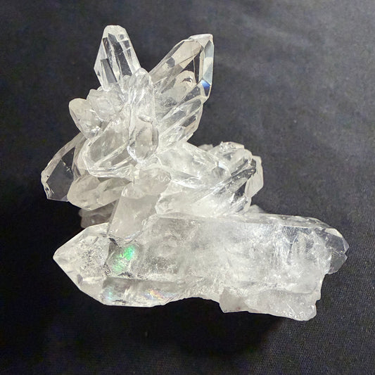 Lemurian Seed Crystal Cluster DT Points/Rainbow 54g #LQ-038
