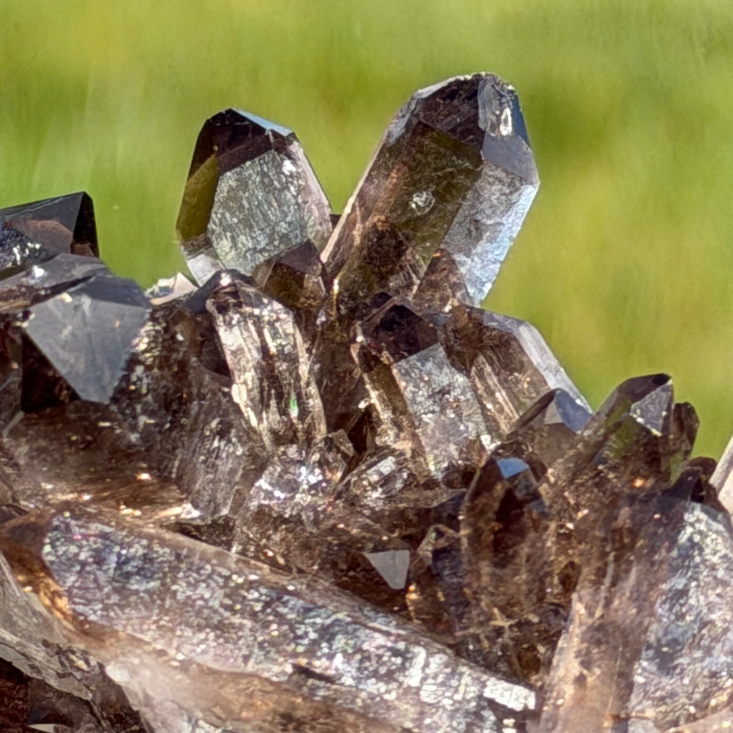 Smoky Quartz Clusterスモーキークォーツ・クラスター #SQ-076