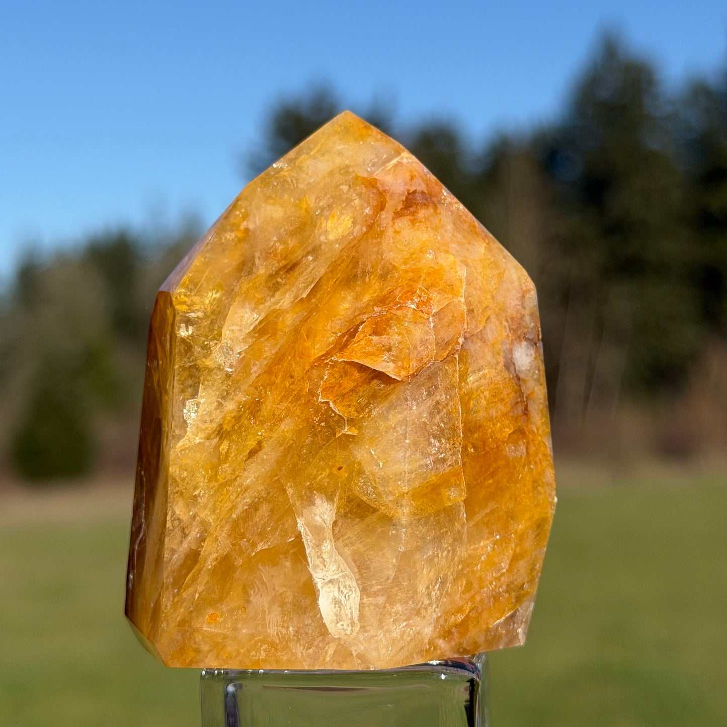 Golden Healer Quartz Point 9.1oz ゴールデンヒーラー 73mm 258g #GH-098
