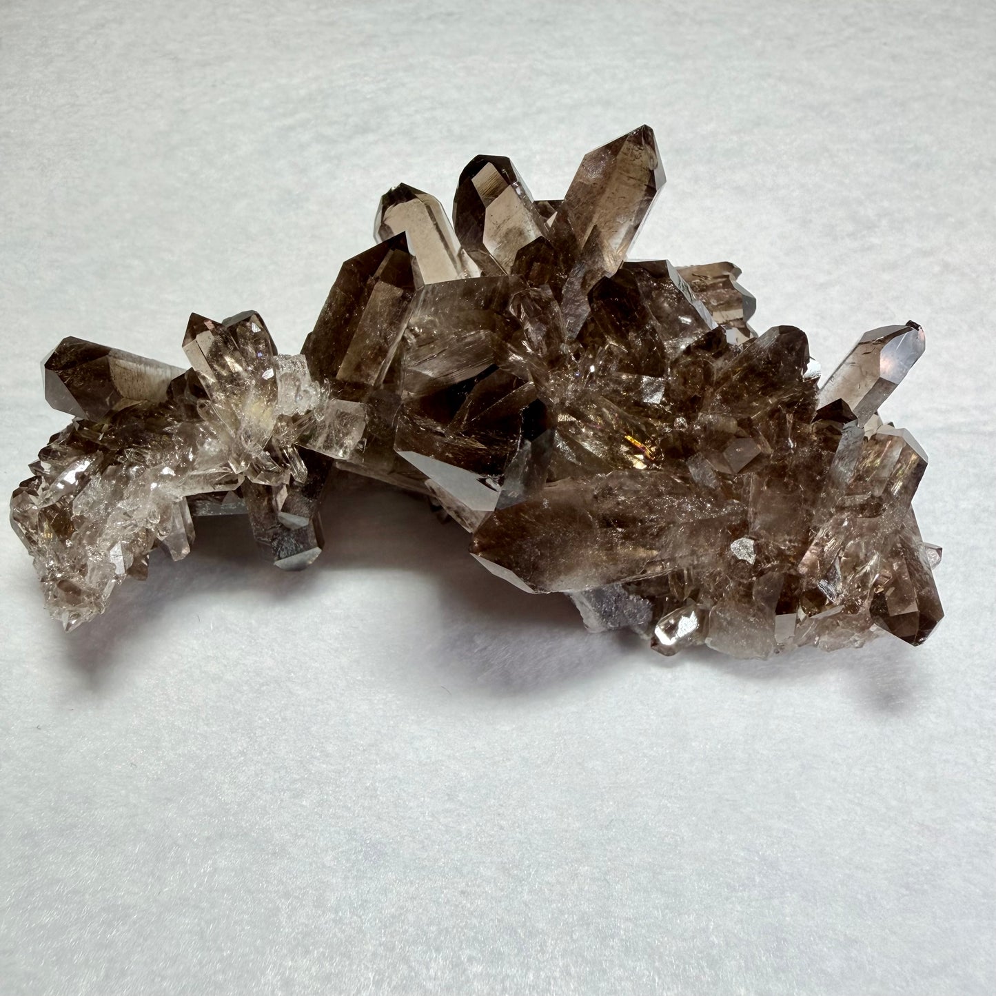 Smoky Quartz Clusterスモーキークォーツ・クラスター #SQ-076