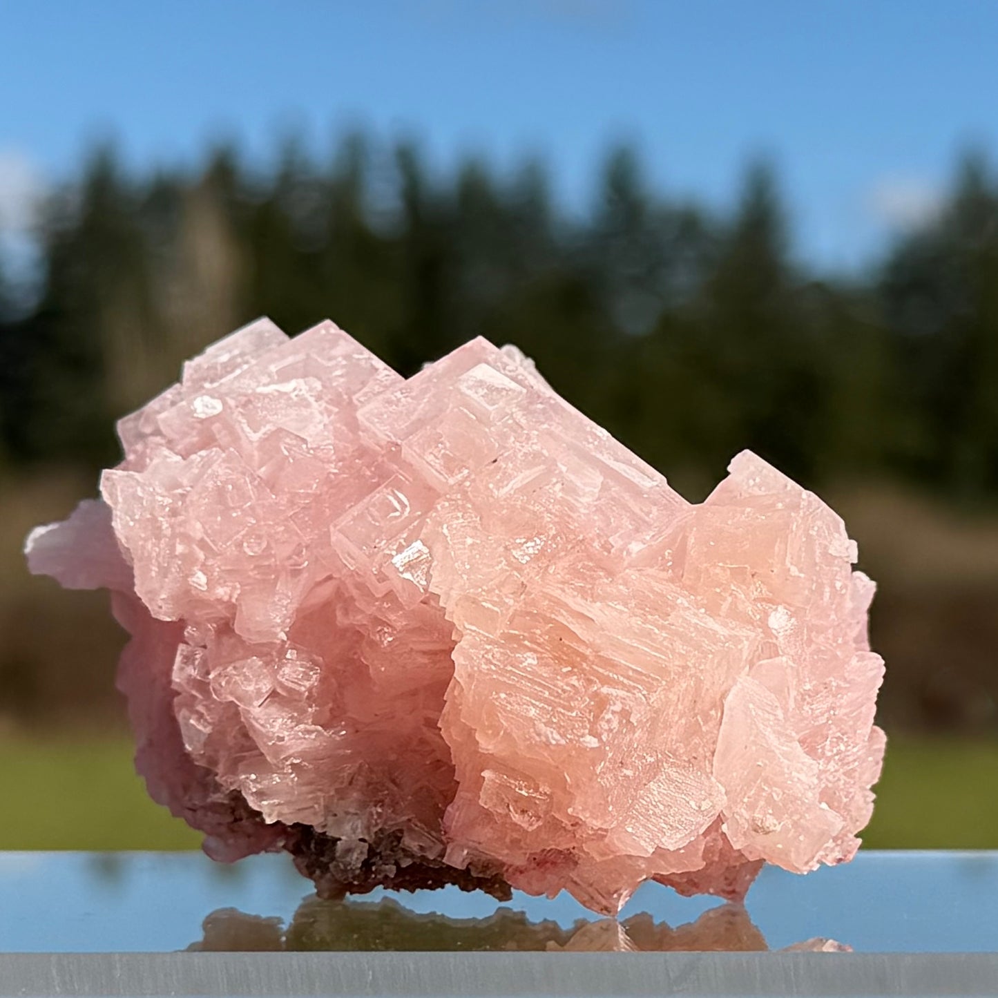 Pink Halite Crystal Cluster  ピンクハライト #HA-102