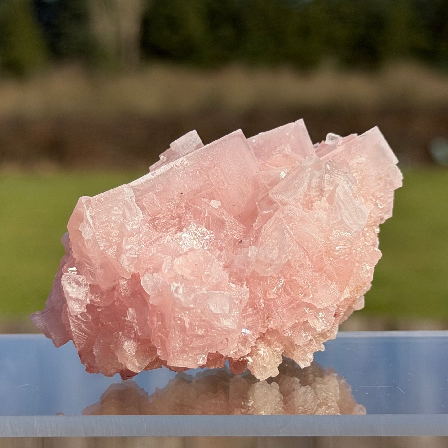 Pink Halite Crystal Cluster  ピンクハライト #HA-102