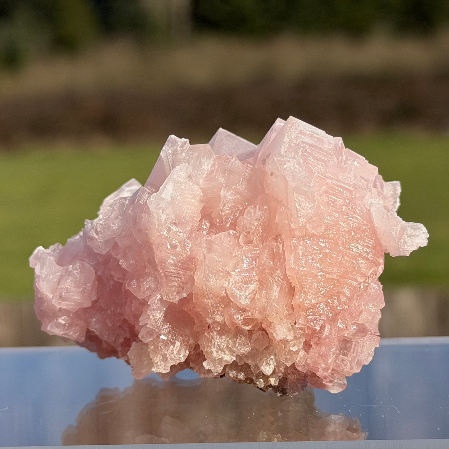 Pink Halite Crystal Cluster  ピンクハライト #HA-102