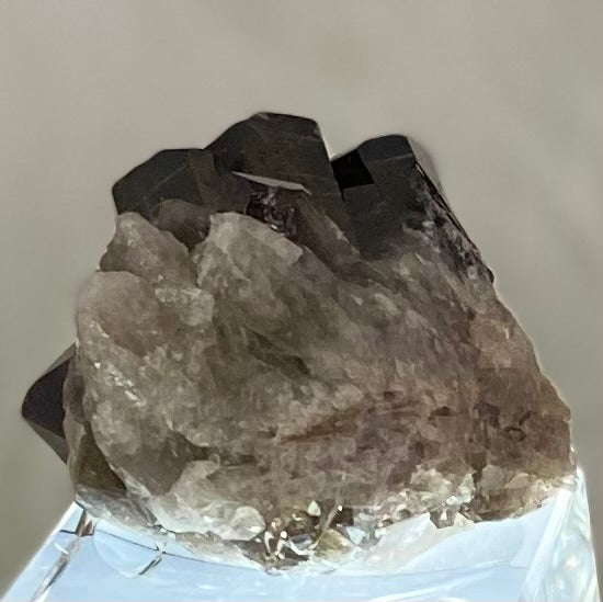 SQ-024
