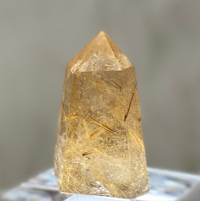Gold Rutilated Smoky Quartz Point 47mm SQ-#026