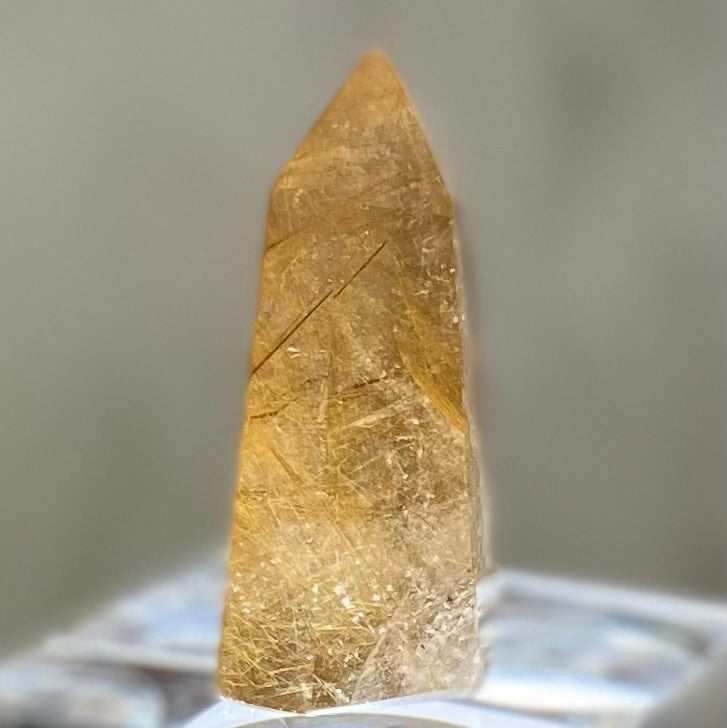 Gold Rutilated Smoky Quartz Point 47mm SQ-#026