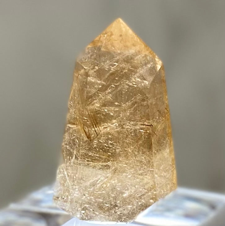 Gold Rutilated Smoky Quartz Point 47mm SQ-#026