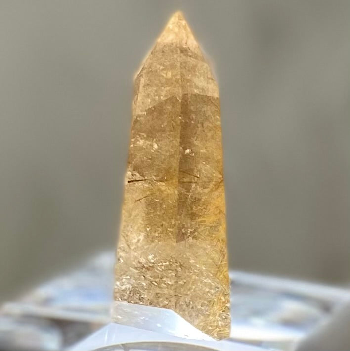 Gold Rutilated Smoky Quartz Point 47mm SQ-#026