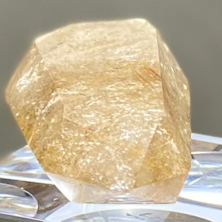 Gold Rutilated Smoky Quartz Point 47mm SQ-#026