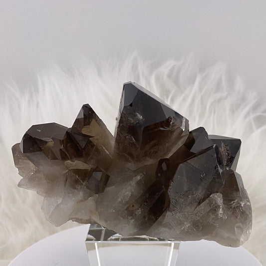 Large Smoky Quartz Cluster #SQ-023 - EMF Shielding Crystal