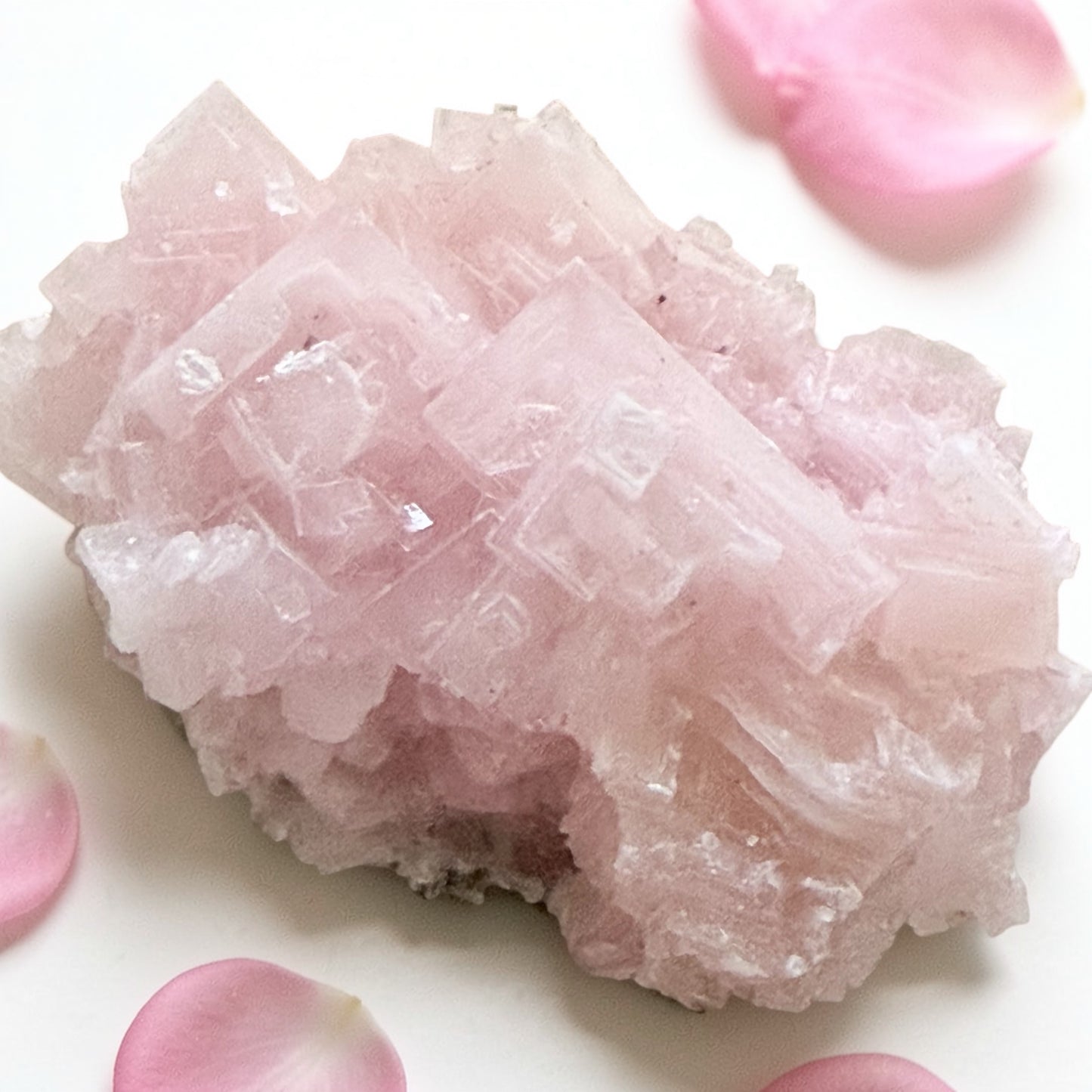 Pink Halite Crystal Cluster  ピンクハライト #HA-102