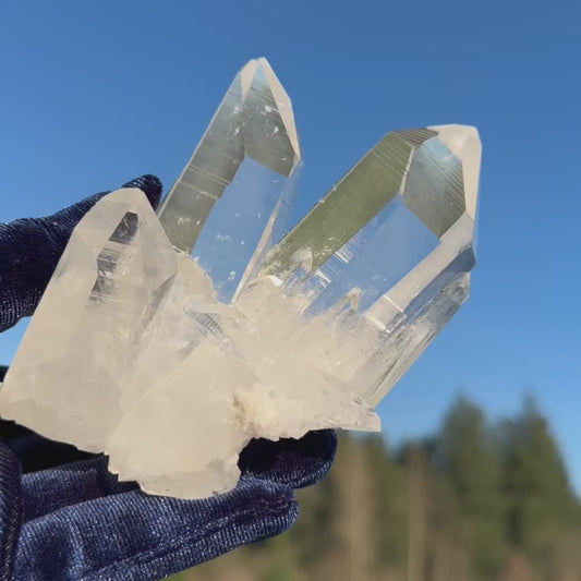 Luminous Lemurian Seed Quartz Cluster #LQ-042