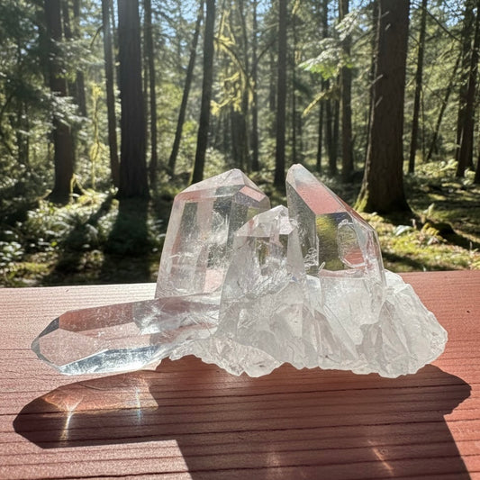 Rare Lemurian Seed Crystal Cluster | AAAレムリアンシード・クリスタル クラスター (182g)#LQ-041