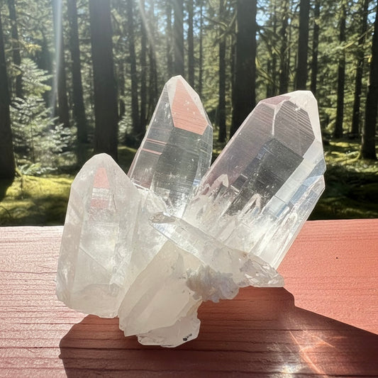 Luminous Lemurian Seed Quartz Cluster #LQ-042